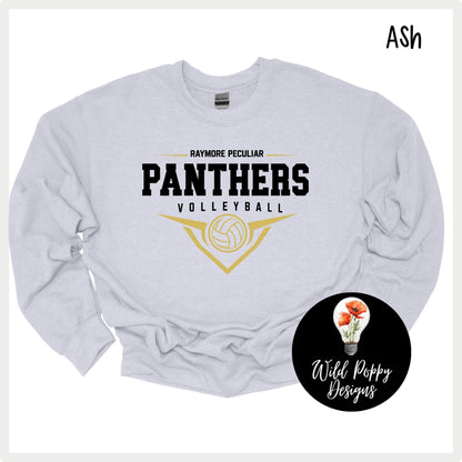 Ray-Pec Volleyball Shield