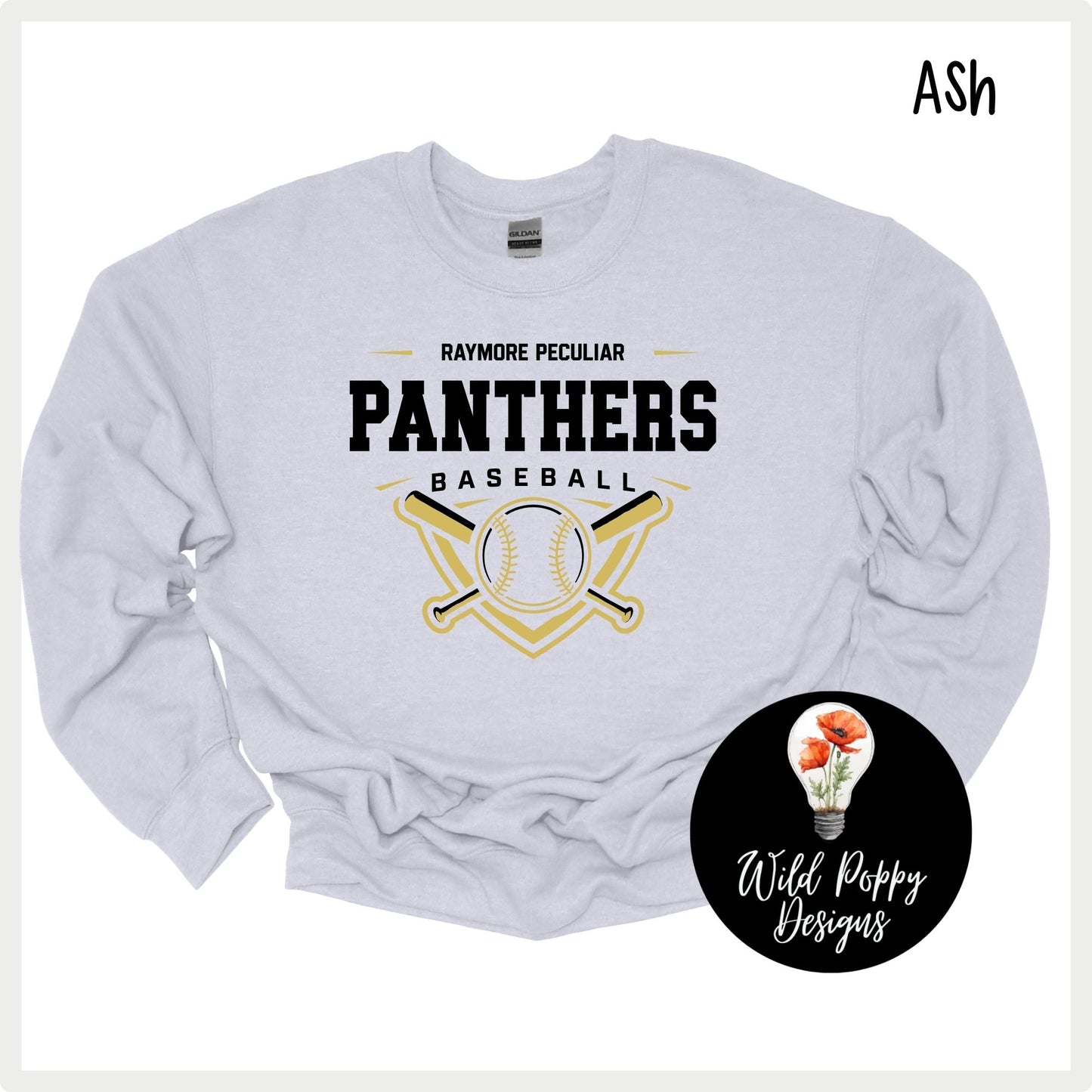 Ray-Pec Baseball Shield 1
