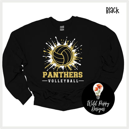 Ray-Pec Paint Splatter Volleyball