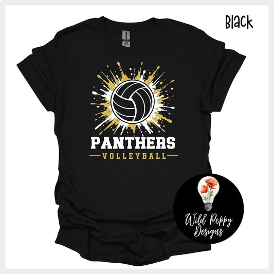 Ray-Pec Paint Splatter Volleyball