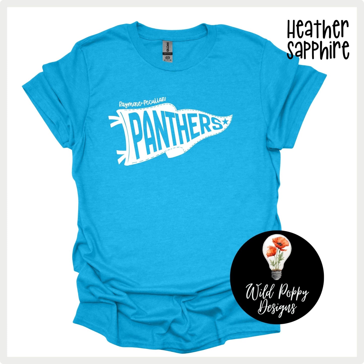Ray-Pec Panthers Pennant - Colorful