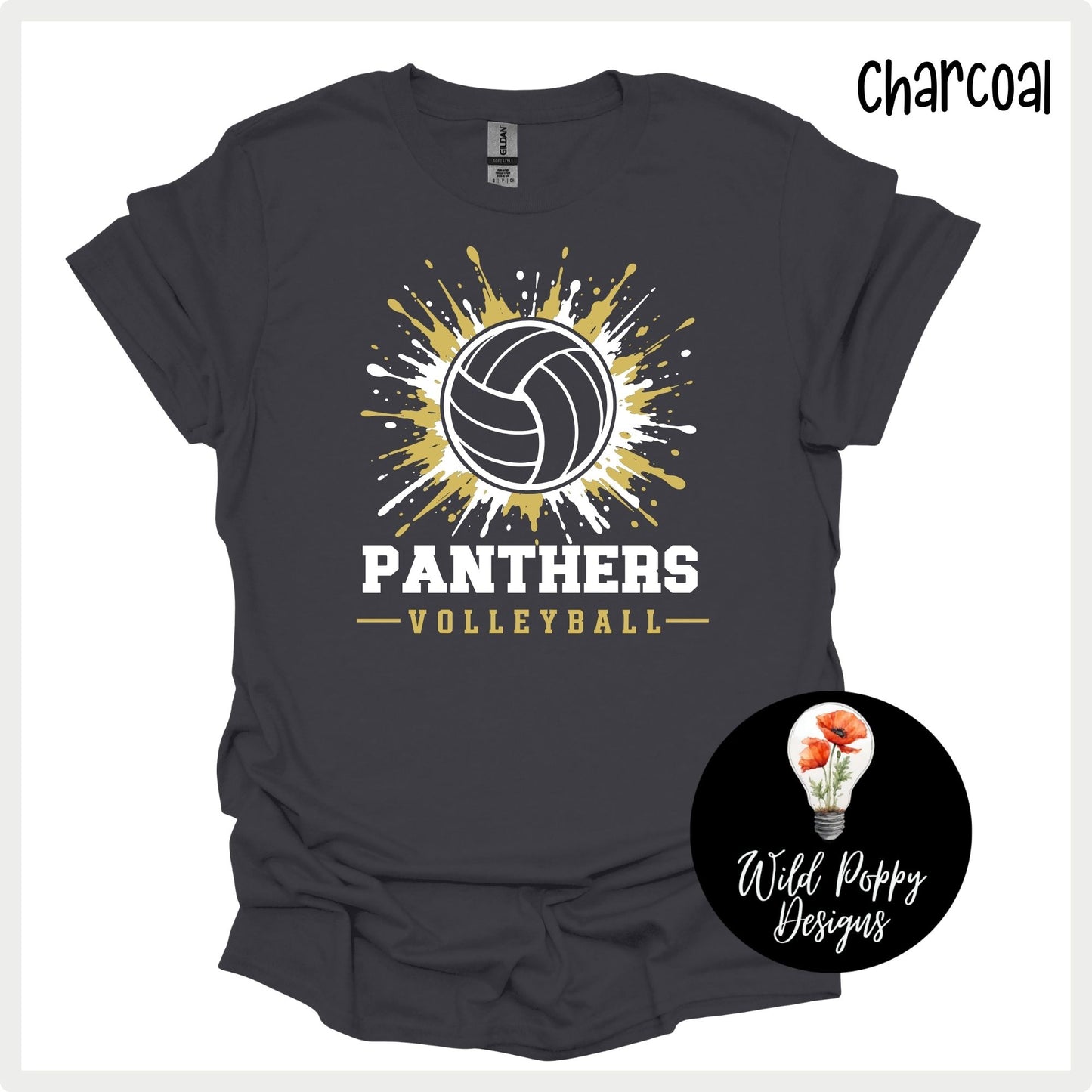 Ray-Pec Paint Splatter Volleyball