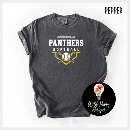 Ray-Pec Softball Shield
