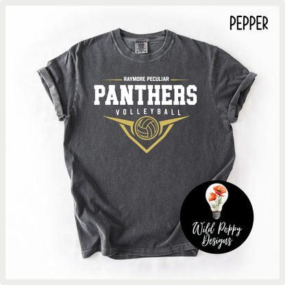 Ray-Pec Volleyball Shield