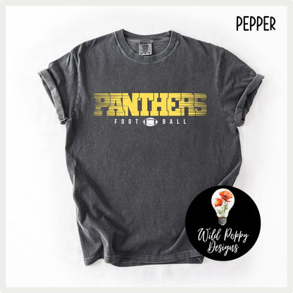 Ray-Pec Panthers Football 2