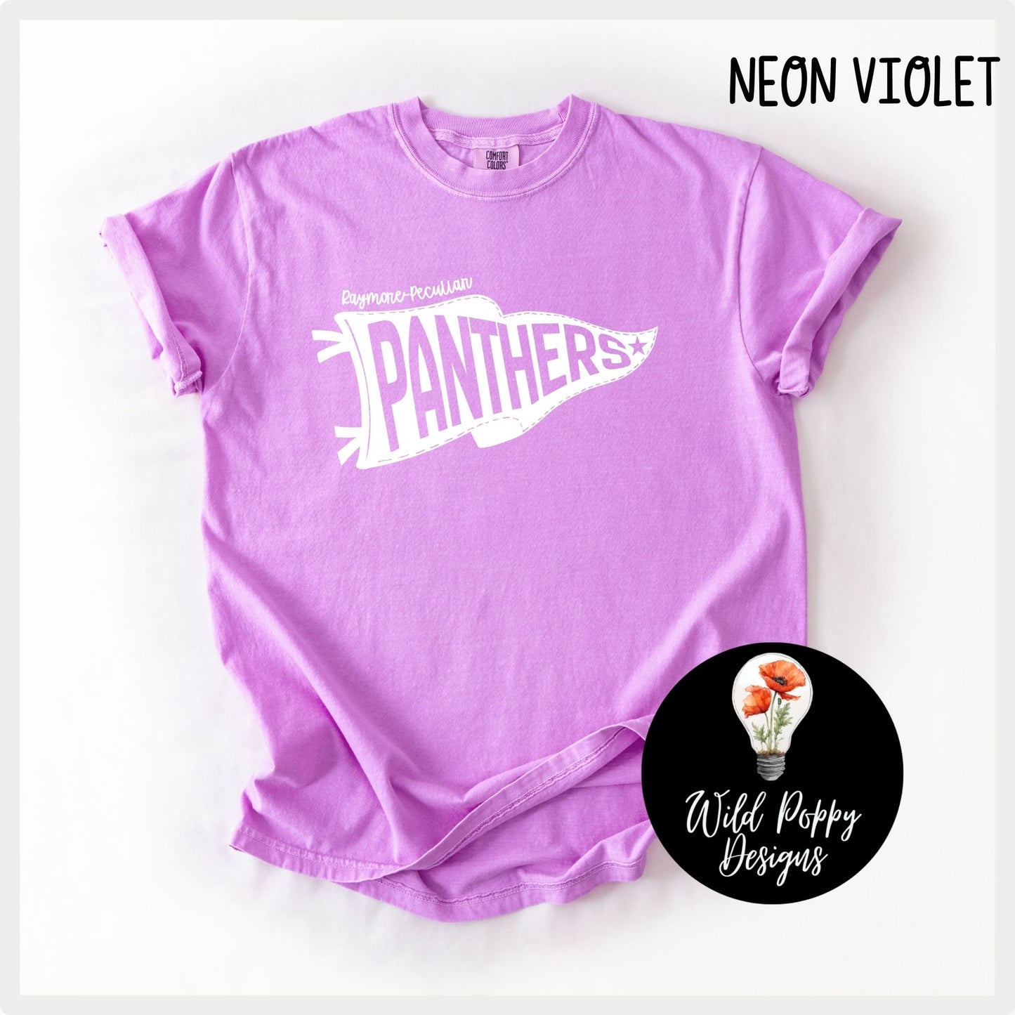 Ray-Pec Panthers Pennant - Colorful