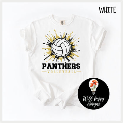 Ray-Pec Paint Splatter Volleyball